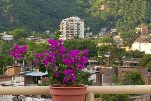 Oasis Hostel Puerto Vallarta Exterior foto